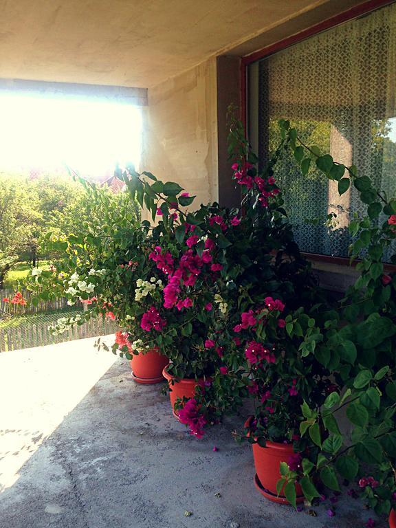 Casa Renti Hotel Novaci-Străini Екстериор снимка